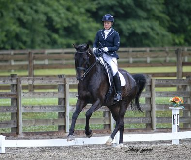 Qrown Prince-June2018-extended canter (1)